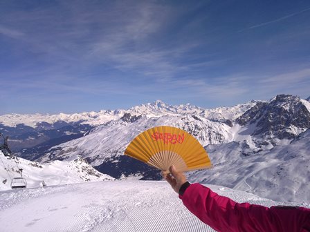 Safran-Fächer_Mont_Blanc Der Safran-Fächer vor dem Mont Blanc