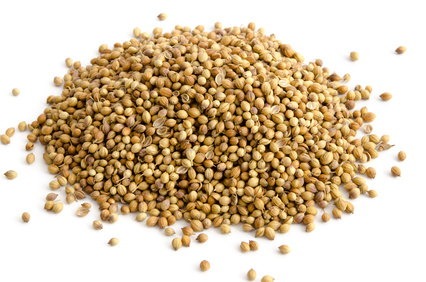 SAFRAN Gewürzbasar - Coriander